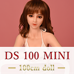 DS 100 MINI